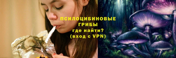 гидропоника Кодинск