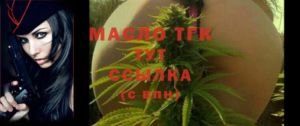 молекула духа Козельск