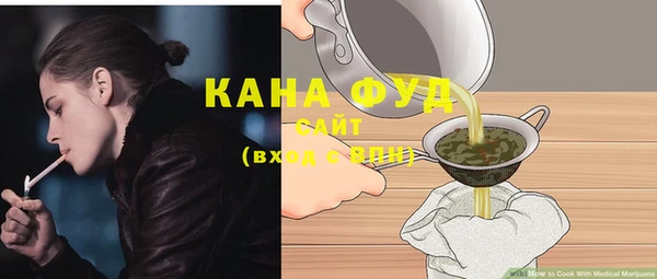 молекула духа Козельск