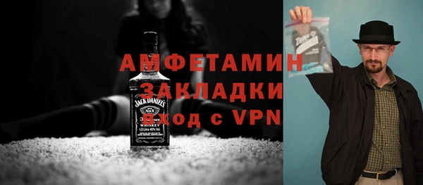 молекула духа Козельск