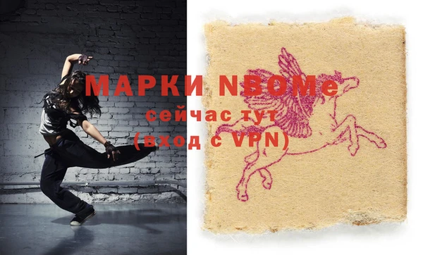 молекула духа Козельск