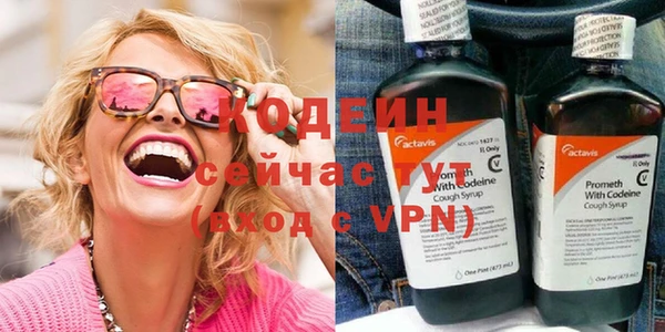 молекула духа Козельск