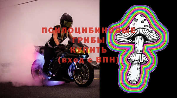 МДМА Козловка