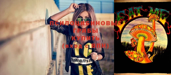 гидропоника Кодинск
