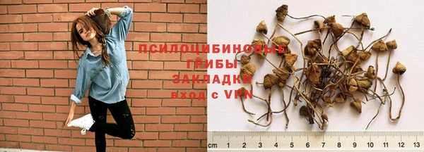гидропоника Кодинск