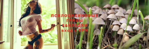 МДМА Козловка